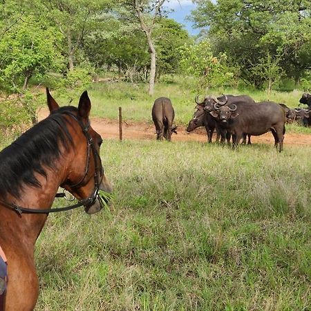 Wild Ride Safaris And Bush Camp Villa Hoedspruit Buitenkant foto