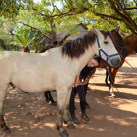 Wild Ride Safaris And Bush Camp Villa Hoedspruit Buitenkant foto