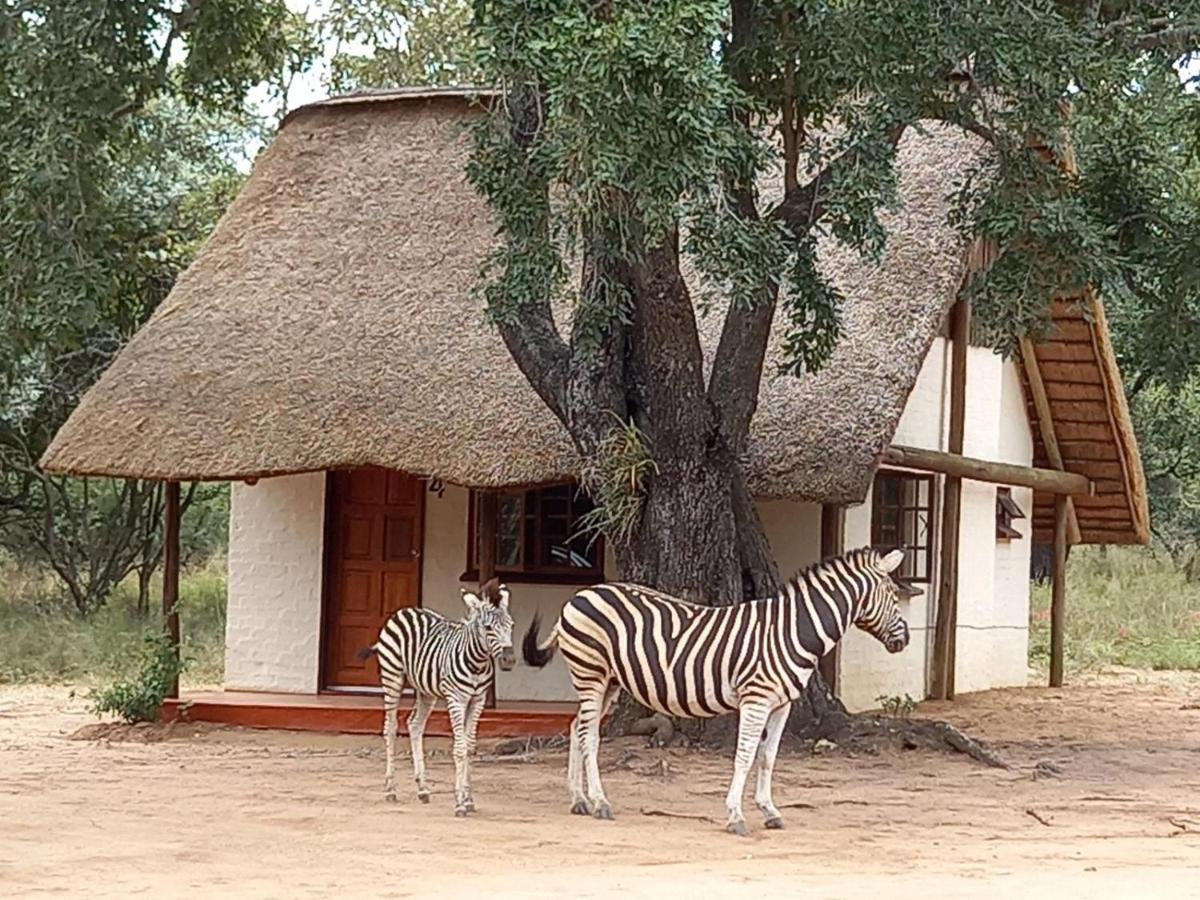 Wild Ride Safaris And Bush Camp Villa Hoedspruit Buitenkant foto
