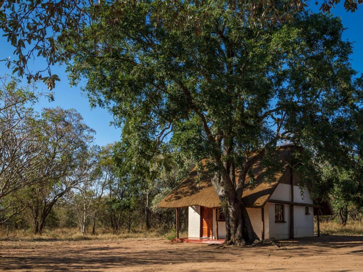 Wild Ride Safaris And Bush Camp Villa Hoedspruit Buitenkant foto