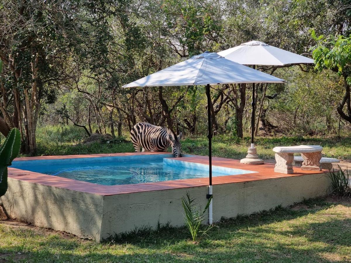 Wild Ride Safaris And Bush Camp Villa Hoedspruit Buitenkant foto