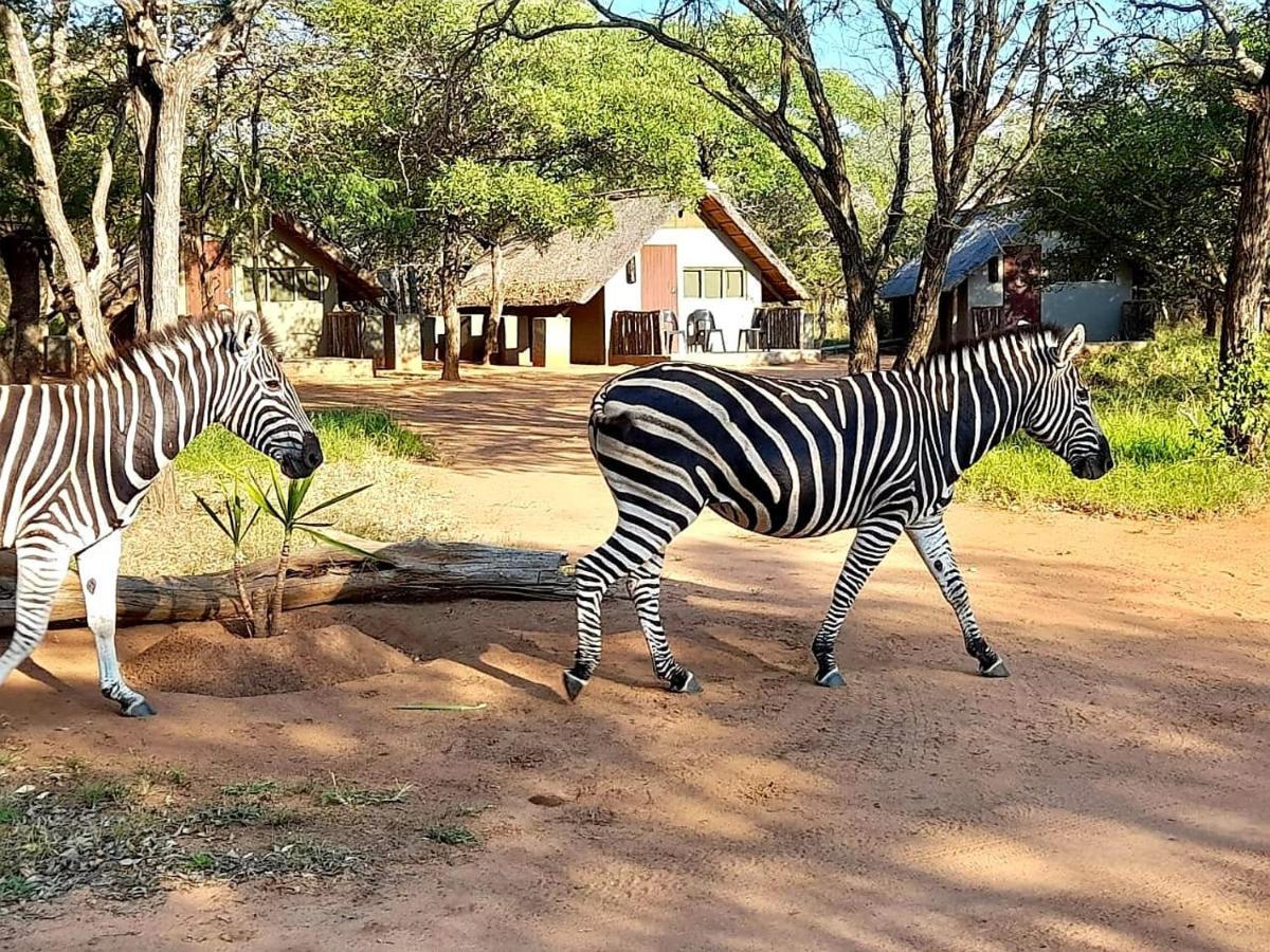 Wild Ride Safaris And Bush Camp Villa Hoedspruit Buitenkant foto