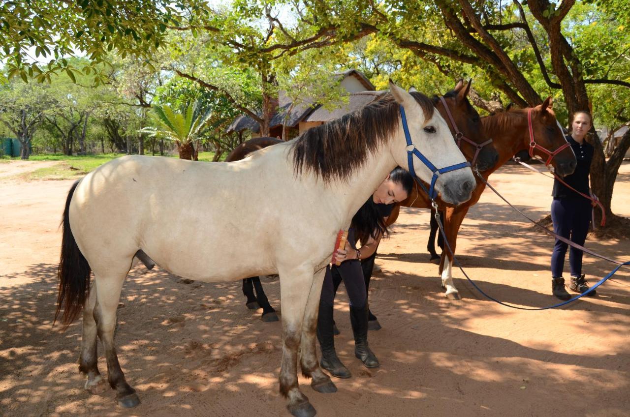 Wild Ride Safaris And Bush Camp Villa Hoedspruit Buitenkant foto
