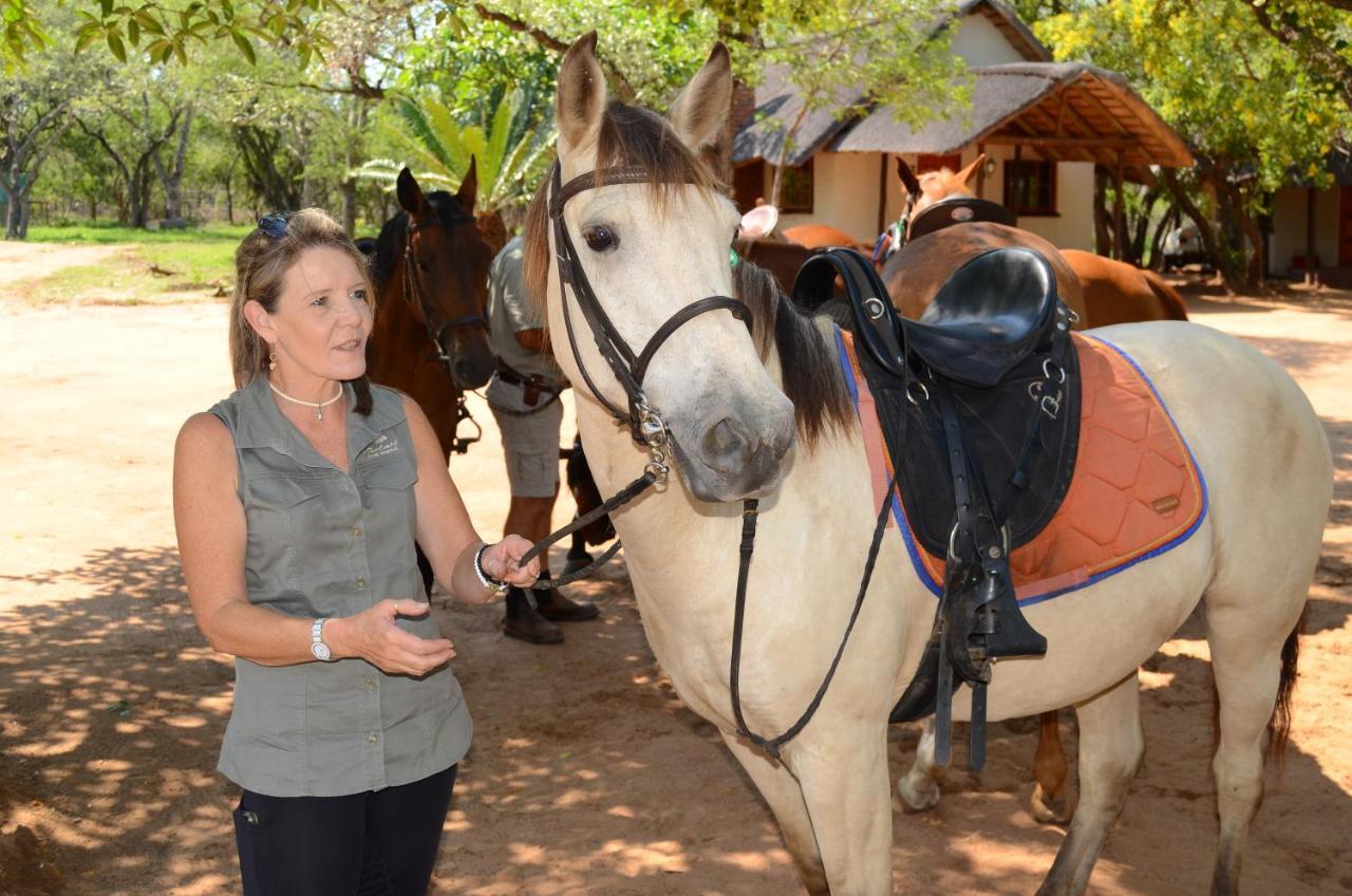 Wild Ride Safaris And Bush Camp Villa Hoedspruit Buitenkant foto