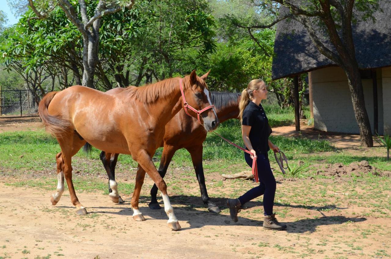 Wild Ride Safaris And Bush Camp Villa Hoedspruit Buitenkant foto